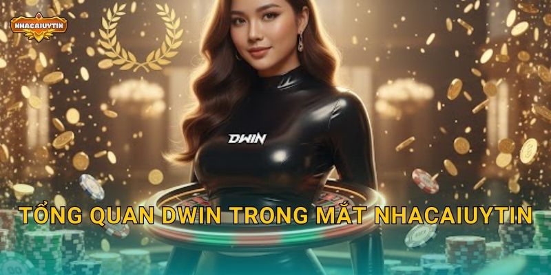 Tổng quan Dwin trong mắt Nhacaiuytin