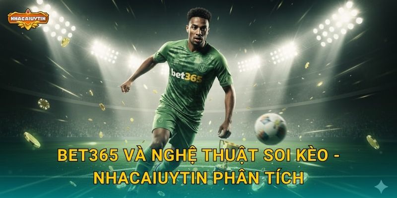 Bet365 và nghệ thuật soi kèo - Nhacaiuytin phân tích