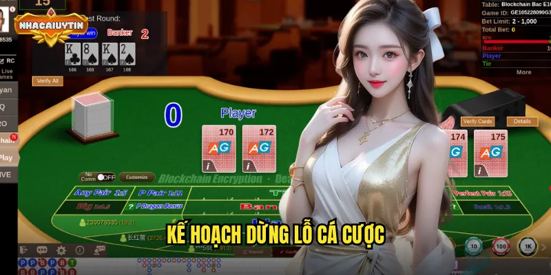 Kế Hoạch Dừng Lỗ Cá Cược