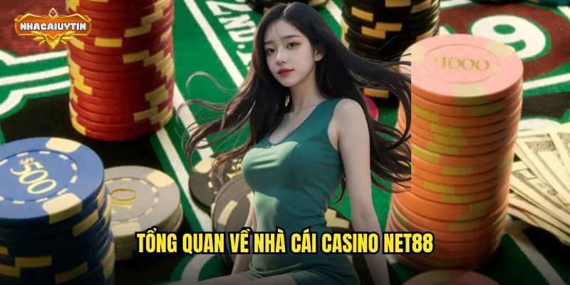 Tổng quan về nhà cái casino NET88