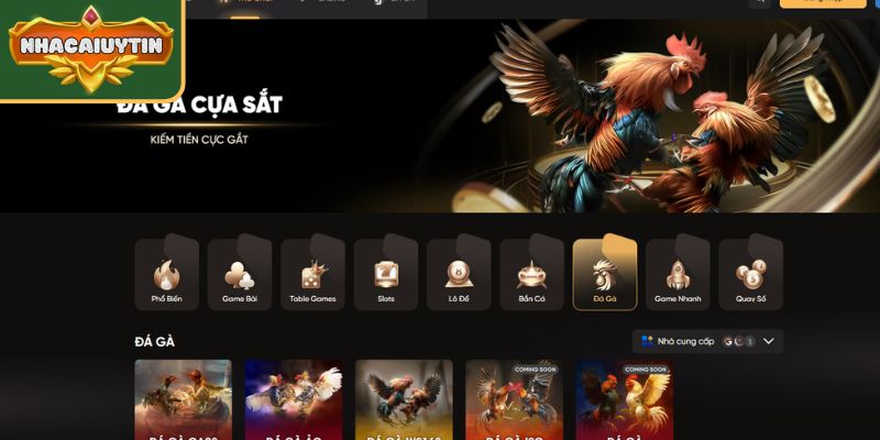 Soc88 - Top 7 nhà cái đá gà uy tín cập nhật kèo nhanh